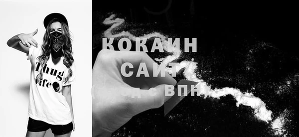 мяу мяу мука Баксан