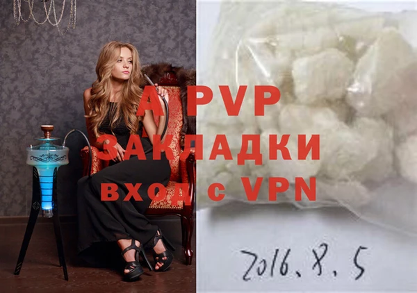 мяу мяу мука Баксан